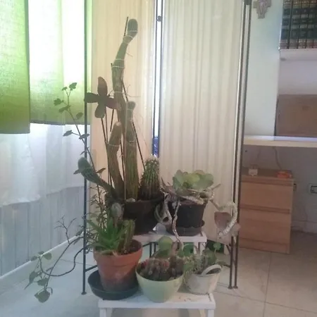 فندق مبيت وإفطار Casa Girasole