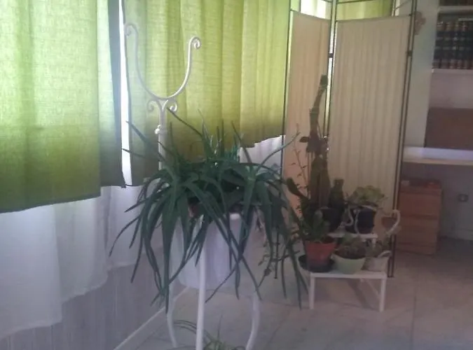 Casa Girasole * Modena