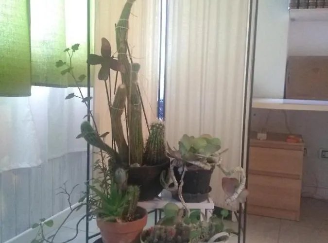 Bed & Breakfast Casa Girasole